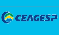 CEAGESP - Caem 3,1% os preos de frutas, verduras e pescados em So Paulo