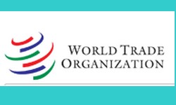 OMC Aposta no Futuro, Apesar do Cenrio Difcil da Economia Mundial