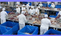  BRF recolhe Carne de Frango PERDIGO por risco de Contaminao por Salmonella