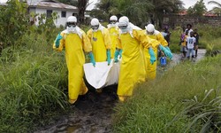 EBOLA mata 865 pessoas no CONGO