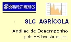 SLC AGRCOLA - Resultado no 3 trimestre/2019  Resultado Lquido Negativo 