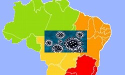 BRASIL j tem 2.433 casos de contaminao e 57 mortos pela Covid-19