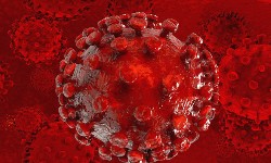 HIV - Pesquisa brasileira apresenta novo remdio que pode ser a Cura