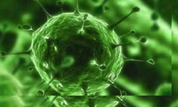 COVID-19 -  SP registra mais de 25 mil mortes pela Pandemia