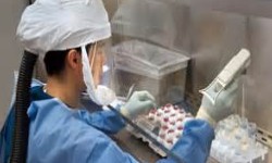 UE fecha com AstraZeneca primeiro acordo de vacina contra Covid-19