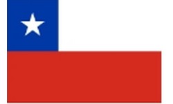CHILE vai s Urnas por uma nova Constituio, neste domingo 