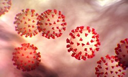 OMS: Resultados Inconclusivos sobre origem do Coronavirus-2