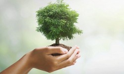 21 DE MARO, Dia Mundial das Florestas inicia semana Cheia de Efemrides