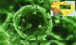 COVID-19 Brasil totaliza 20 milhes de infectados e 559 mil mortes, nesta 4