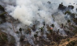 COP26: Lderes Mundiais Prometem Conter Desmatamento at 2030