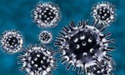 COVID-19 traz Envelhecimento do Sistema Imunolgico, relata pesquisa da FIOCRUZ e UFRJ