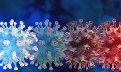 CORONAVIRUS perde 90% da Capacidade de Infectar aps 20 Minutos no Ar