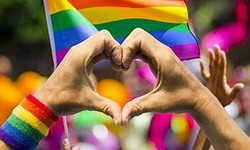 IBGE divulga 1 Levantamento sobre Homossexuais e Bissexuais no Brasil