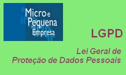 Flexibilizao das Regras da LGPD para Micro e Pequenas Empresas