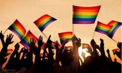 Entidades LGBTQIA+ criticam Iniciativa Contra Unio Homoafetiva