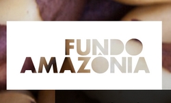 FUNDO AMAZNIA recebe as primeiras doaes dos EUA e da Sua