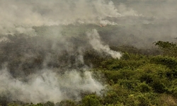 EXRCITO combate Incndios no Tocantins