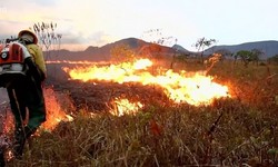 CHAPADA DOS VEADEIROS - Parque  fechado por conta de Incndio