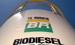 PETROBRAS BIOCOMBUSTVEL no mais ser colocada a venda