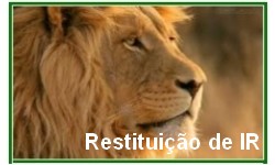 MALHA FINA DO IR - RECEITA abre Consulta a novo Lote