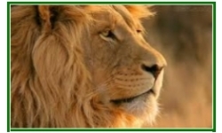 ARRECADA��O FEDERAL chega a R$ 261,9 milh�es em outubro e bate recorde