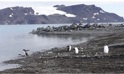 ANT�RTICA - Mapeamento In�dito revela Extens�o de �rea Livre de Gelo